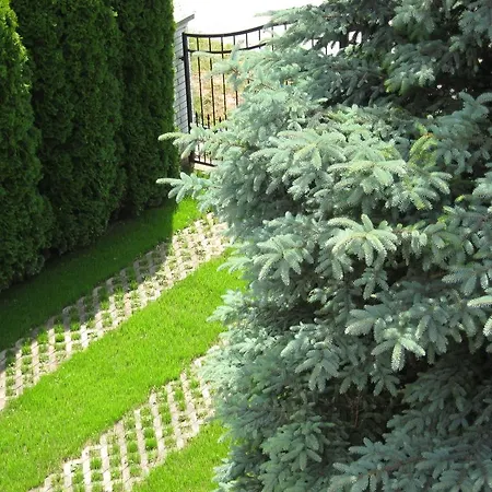 Relax Apartman Daire Csopak