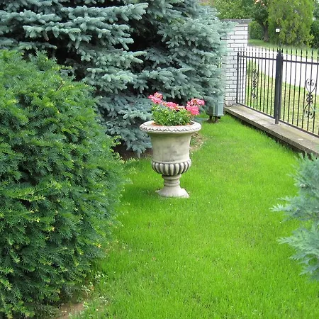 Relax Apartman Daire